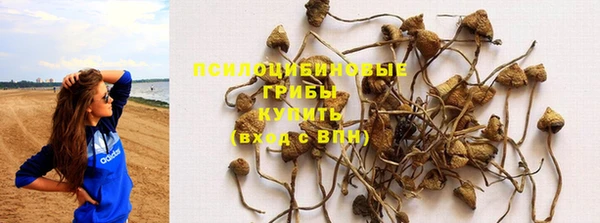 mdpv Архангельск